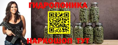 твердый Будённовск