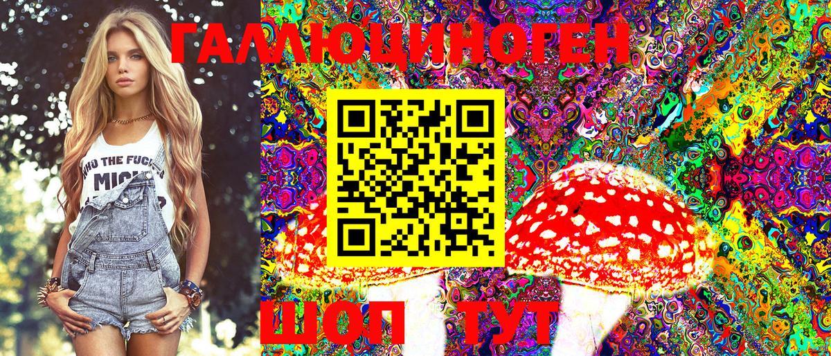 Галлюциногенные грибы Magic Shrooms  как найти   Новотроицк  Псилоцибиновые грибы мицелий  Вход с VPN 