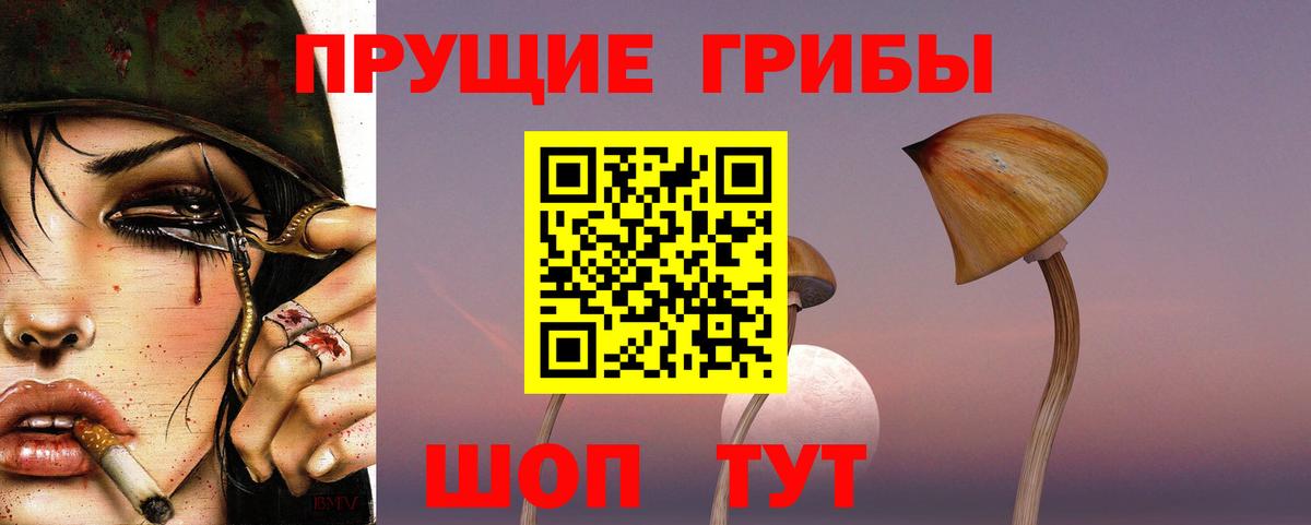 Псилоцибиновые грибы ЛСД Новотроицк